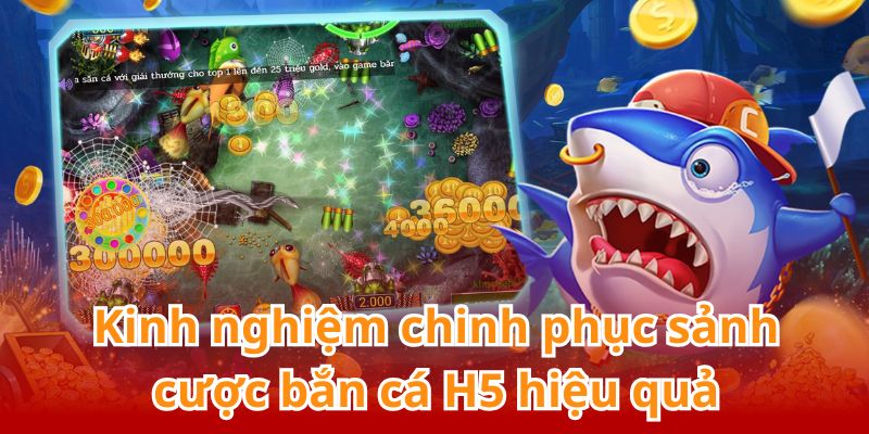 Bỏ túi kinh nghiệm săn cá hiệu quả để chinh phục thưởng lớn