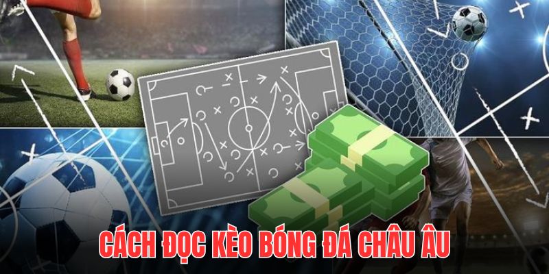 Cách đọc kèo bóng đá châu âu chẳng quá phức tạp phù hợp với người mới