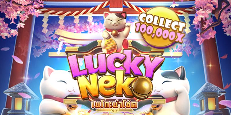 Đôi nét giới thiệu về Neko may mắn